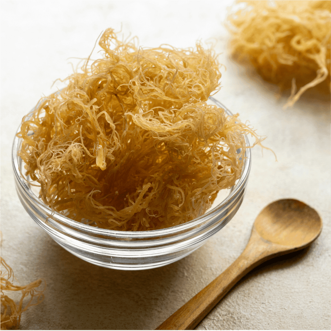 Sea Moss - JIVA HEALTH
