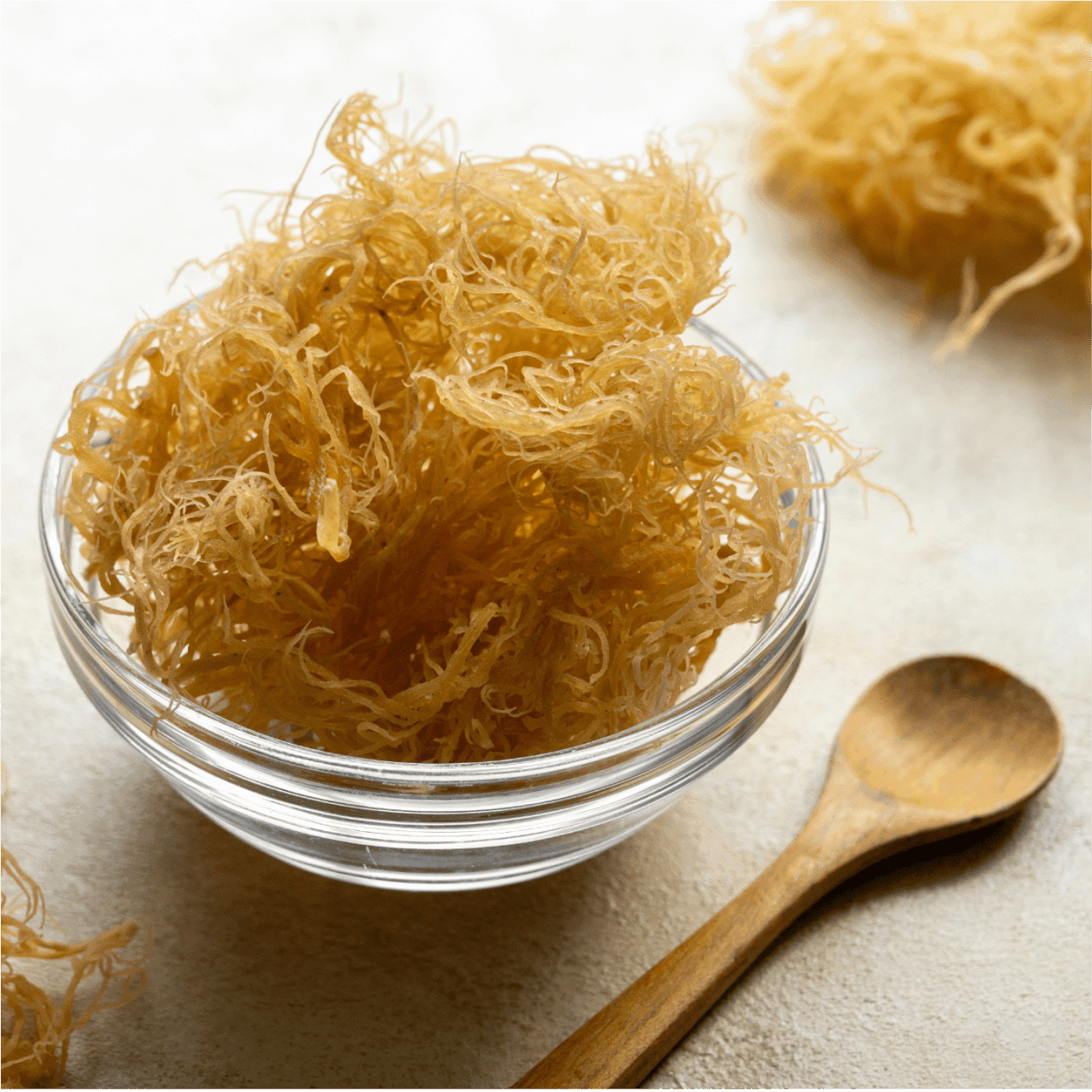 Sea Moss - JIVA HEALTH