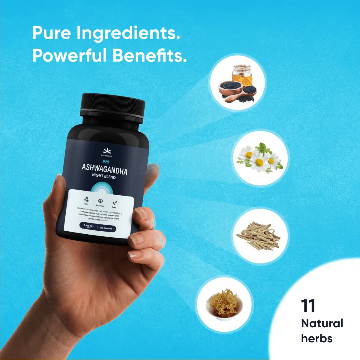 Ashwagandha PM - Night Blend - JIVA HEALTH