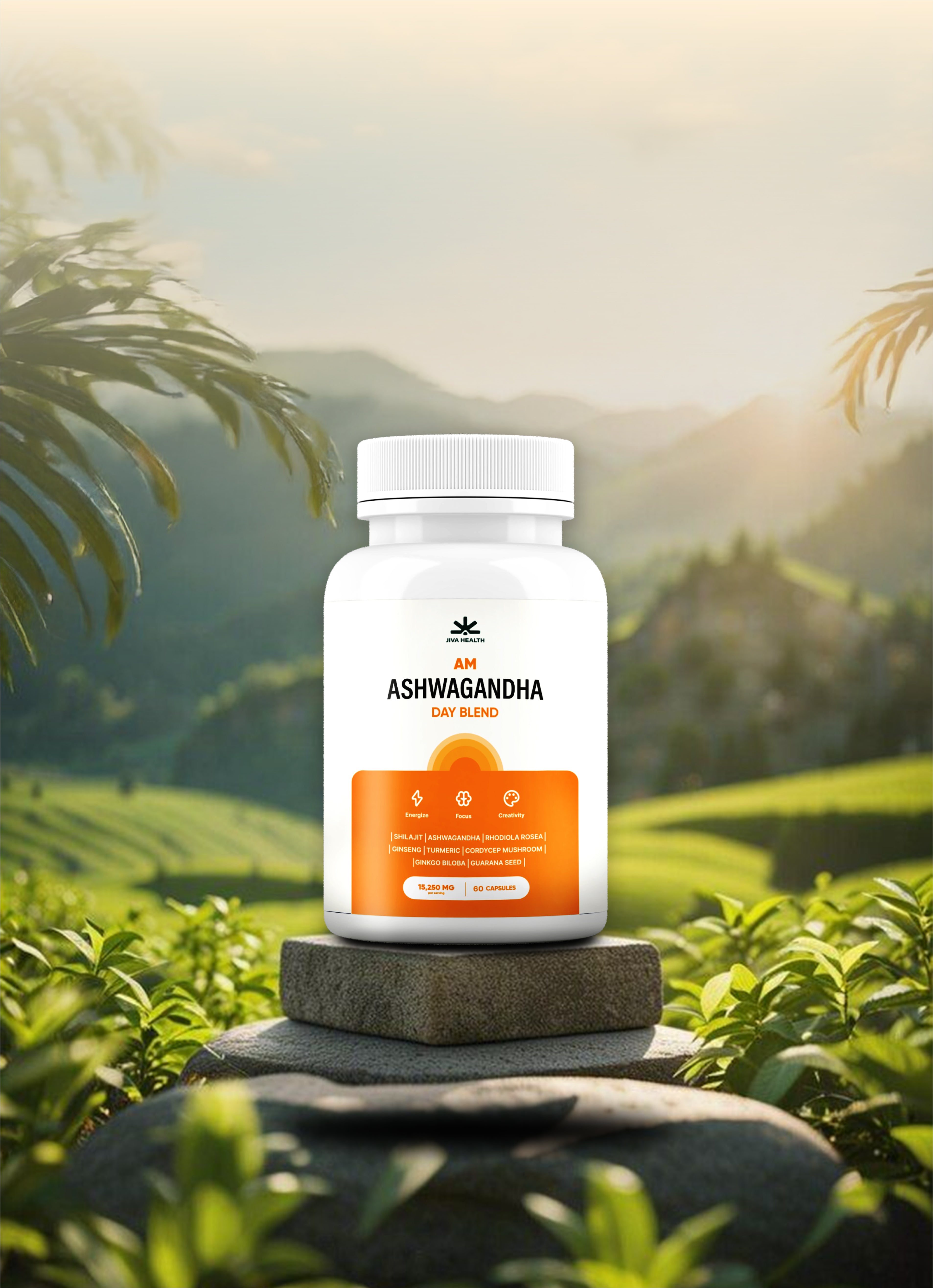 JIVA HEALTH
