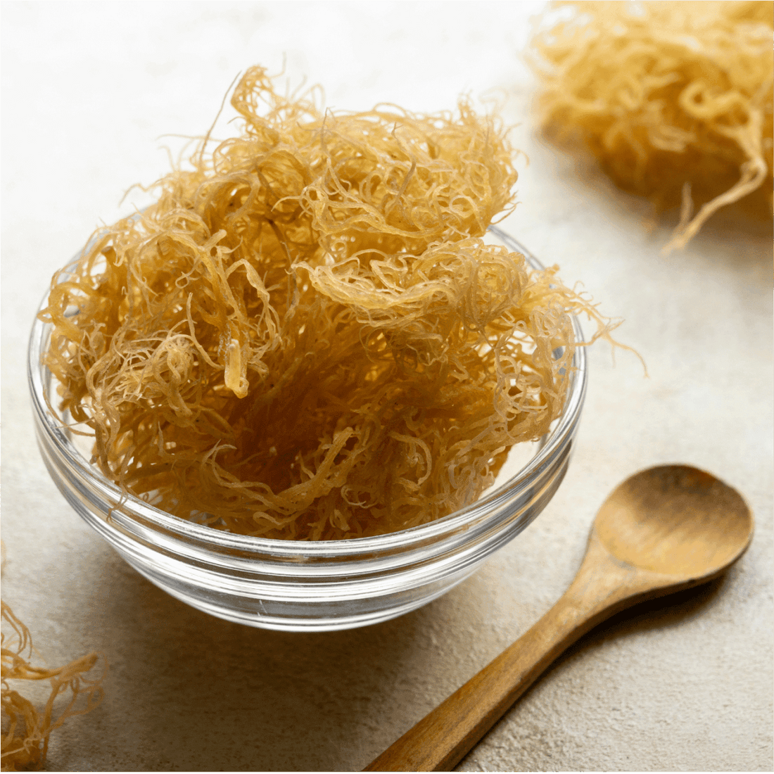 Sea Moss - JIVA HEALTH