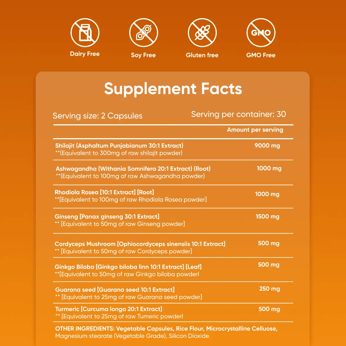 Ashwagandha AM - Day Blend - JIVA HEALTH